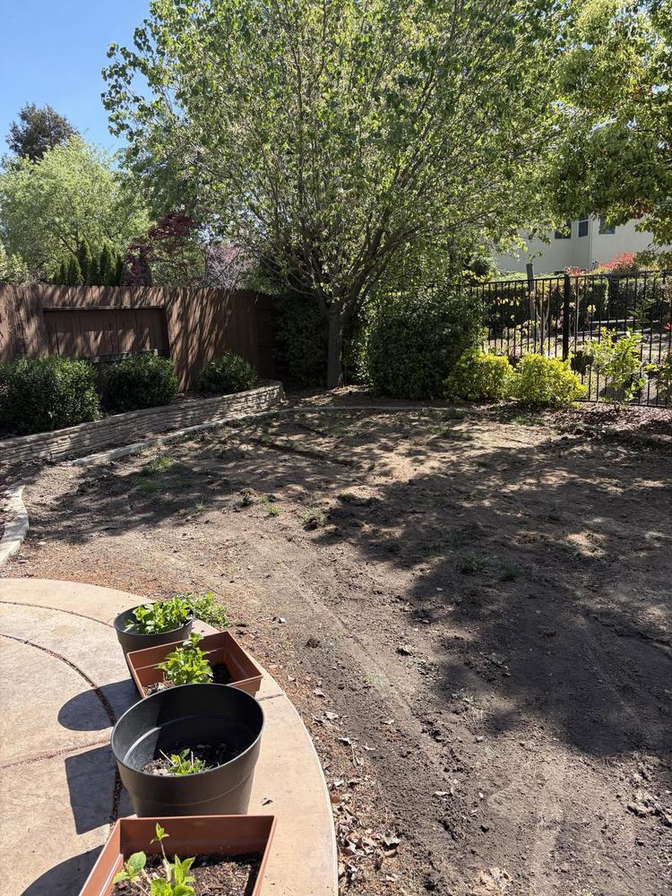 The same backyard cleared to bare level dirt, ready to replant
