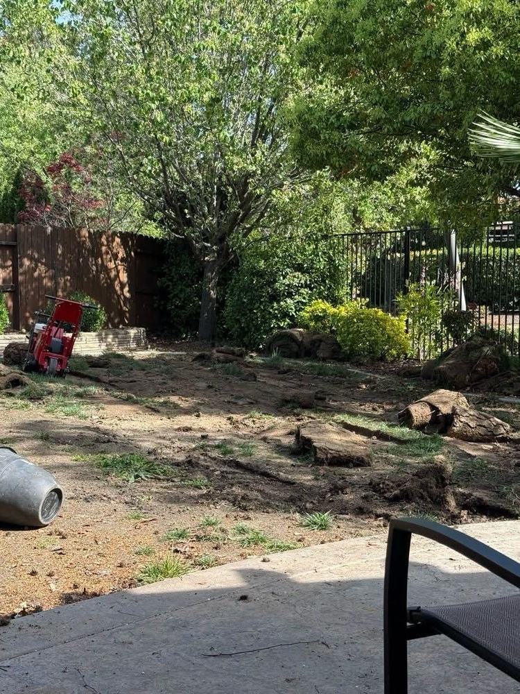 A backyard with the lawn cut into strips of sod and torn up, a sod cutter and an old water heater on the ground